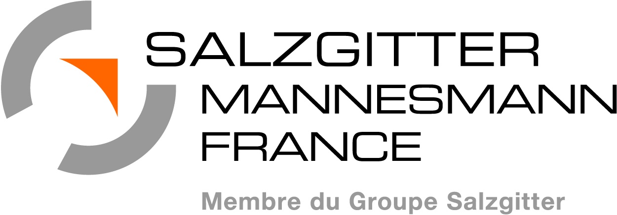 SALZGITTER MANNESMANN FRANCE